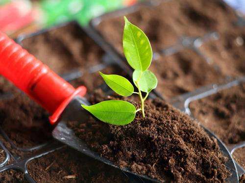 土壤植株肥料养分速测仪帮助农业生产