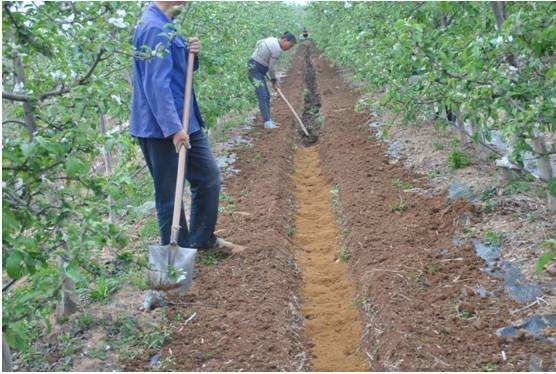 土壤施肥检测仪提高肥料的利用率