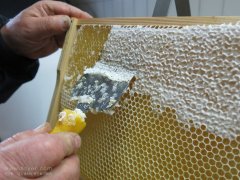 吃蜂蜜也会中毒？多功能蜂蜜检测仪器了解一下
