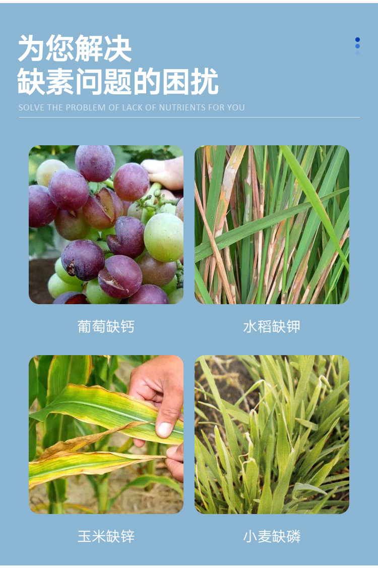 土壤养分检测仪